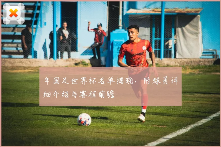 年国足世界杯名单揭晓,附球员详细介绍与赛程前瞻