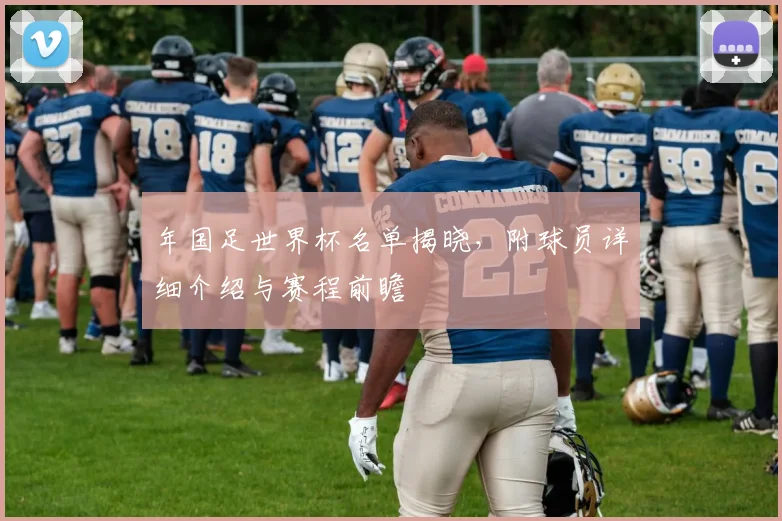 年国足世界杯名单揭晓,附球员详细介绍与赛程前瞻