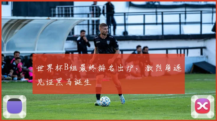 世界杯B组最终排名出炉，激烈角逐见证黑马诞生