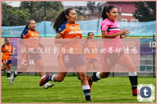 从观众到参与者：我的世界杯情感之旅