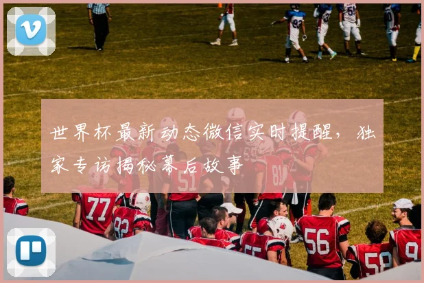 世界杯最新动态微信实时提醒，独家专访揭秘幕后故事
