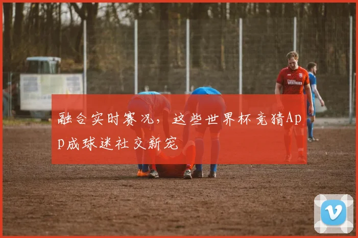 融合实时赛况，这些世界杯竞猜App成球迷社交新宠